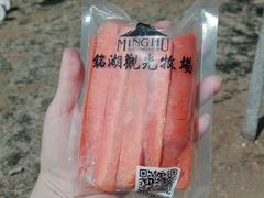 -大连铭湖国际观光牧场