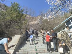 -抱犊寨风景区