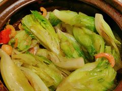 啫啫生菜煲-陶陶居酒家(第十甫路总店)