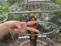 -南宫五洲植物乐园