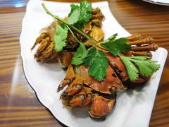 -呼吸森林·生态农庄农家乐私房菜