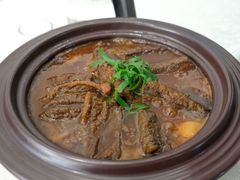 炖生敲-丁老爷子苏香圆