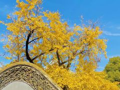 -无锡惠山寺