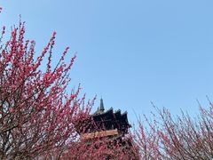 -杭州半山国家森林公园