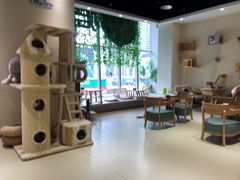 -藏猫猫咖啡主题馆(中央大道店)