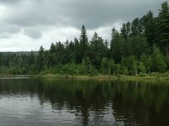 -五营红松林海景区