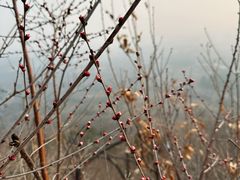 -北京鹫峰国家森林公园