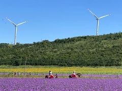 -草原天路(张北县)