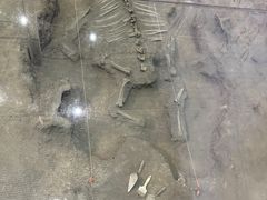 -大庆市博物馆