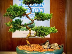 大堂-故宫餐厅(景运门店)