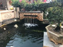 -顺德了能馆(虎门店)