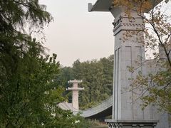 -东湖落雁景区