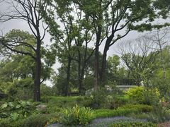 -云溪植物园