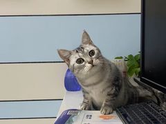 -中农国际动物医院24小时·猫科·骨科·急重症中心