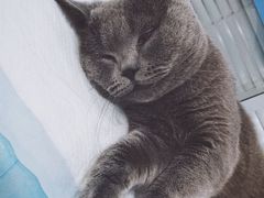 -美迦爱-牙专科·兔科·骨科诊疗中心(北苑店)