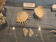 -浙江自然博物院(杭州馆)