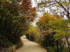 景点-紫金山山顶公园