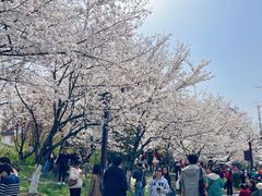 -堤角公园
