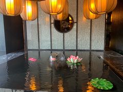 -苏州环秀晓筑养生度假村