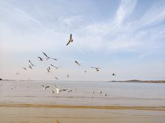 -金海滩海水浴场