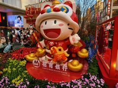 -越秀西湖花市(广州城市广场花卉店)