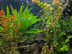 -上海海洋水族馆