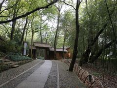 -兰亭风景区