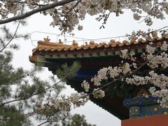 -终南山古楼观历史文化景区