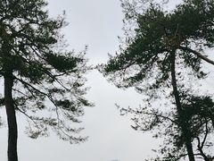 -溪口-滕头旅游景区