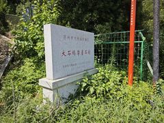 -树山生态村