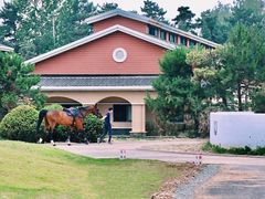 -上林马术中央公园·户外露营·团建·骑乘
