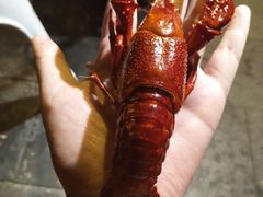 -霸王虾·麻辣小龙虾(清水河公园店)