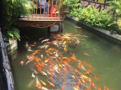 -优之名鹅城