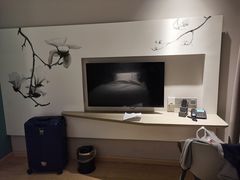 -白玉兰酒店(上海田子坊马当路地铁站店)