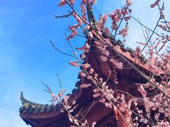 -里运河文化长廊-御码头