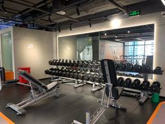 -健身专家Wellness Experts