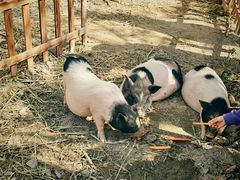 -河姆渡遗址博物馆