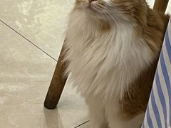 -氷冰凉刨冰甜品(北京路店)