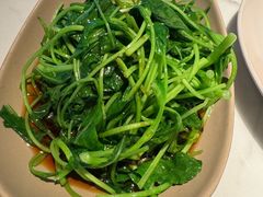 -MR鹅外
