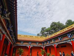 -东莞市大岭山森林公园