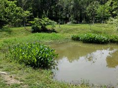 -白鹭湾湿地公园