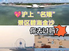-碧海金沙
