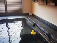 -春晖园度假酒店温泉