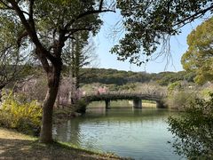 -苏州上方山国家森林公园