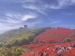 -瑞安圣井山景区