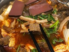 -古乐牛香·鲜牛肉牛杂火锅(梅村五洲国际店)