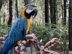 -北京野生动物园