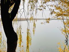 -野鸭湖国家湿地公园