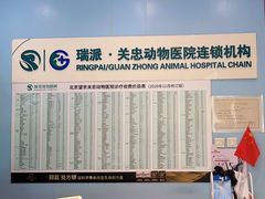 -瑞派·关忠动物医院·异宠专科·犬猫肿瘤·皮肤专科(望京店)