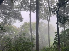 -广州市白云山风景名胜区